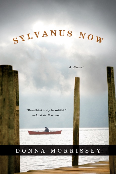 Sylvanus Now: A Novel