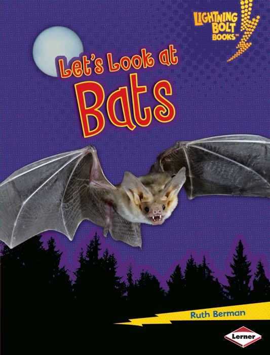 Let's Look at Bats