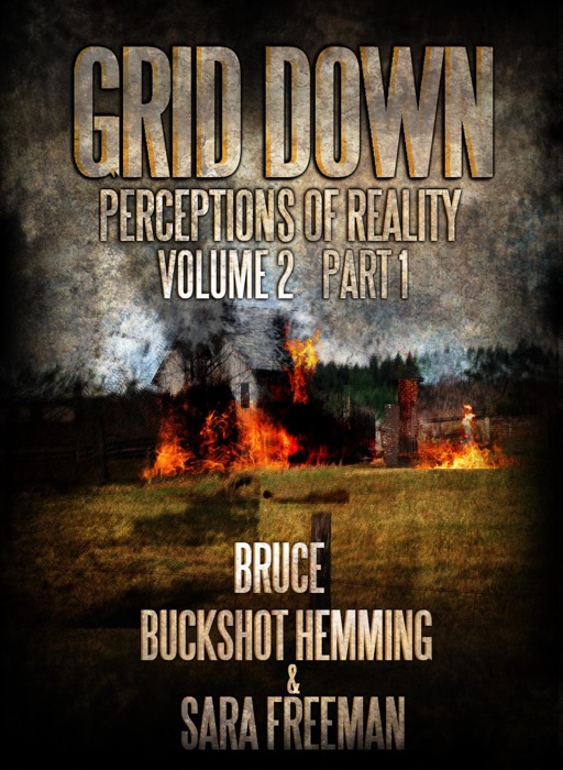 Grid Down Perceptions Of Reality