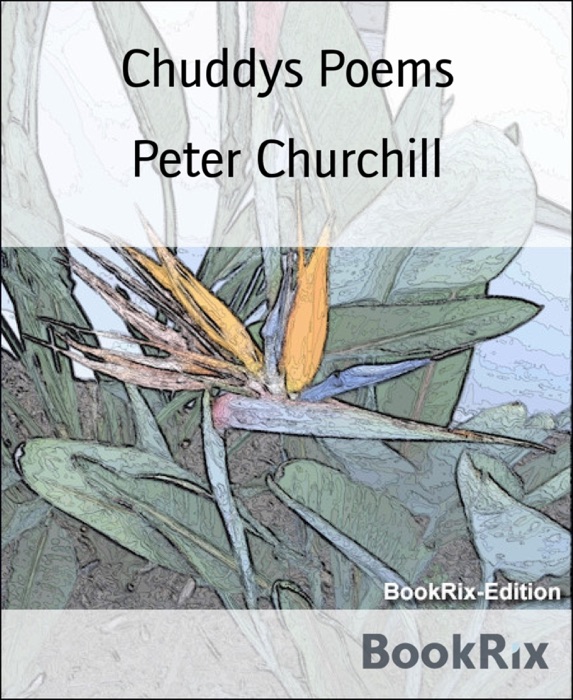 Chuddys Poems
