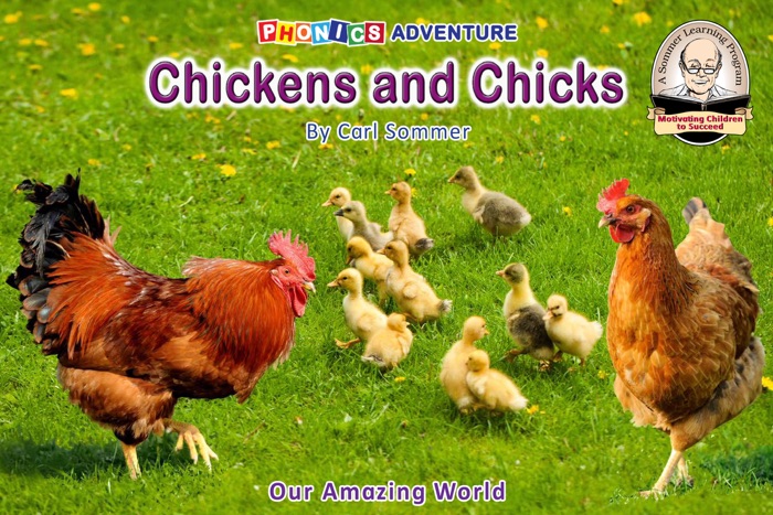 [Download] ~ Chicken and Chicks 