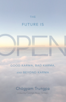 Chögyam Trungpa & Carolyn Rose Gimian - The Future Is Open artwork
