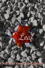 Book's Cover of Leaf