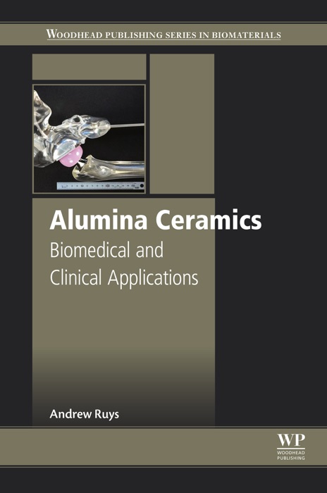 Alumina Ceramics