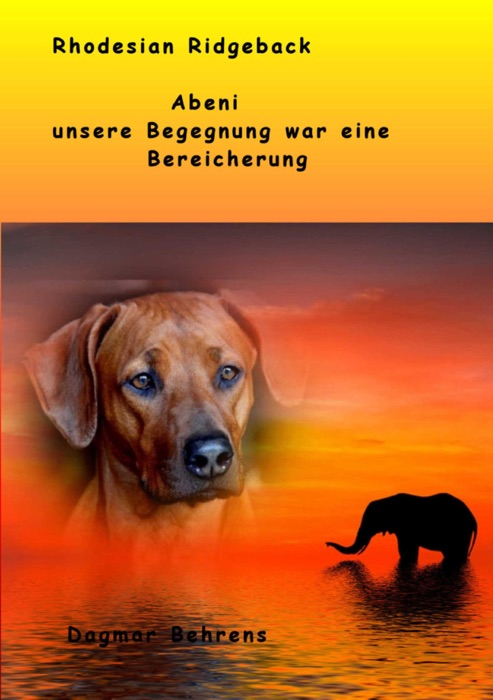 Rhodesian Ridgeback Abeni - unsere Begegnung war eine Bereicherung -