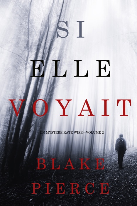 Si elle voyait (Un mystère Kate Wise—Volume 2)