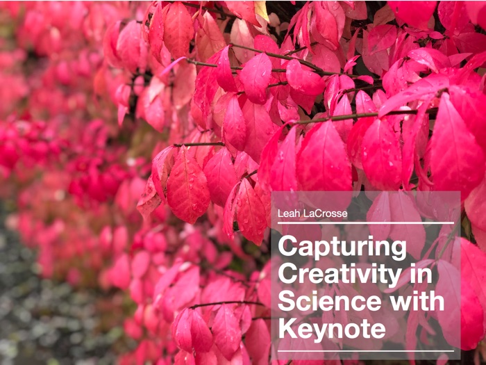 Capturing Creativity in Science with Keynote