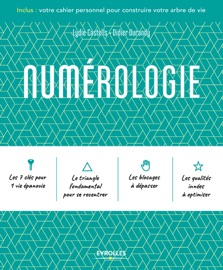 Book's Cover of Numérologie