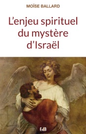 Book's Cover of L'enjeu spirituel du mystère d'Israël