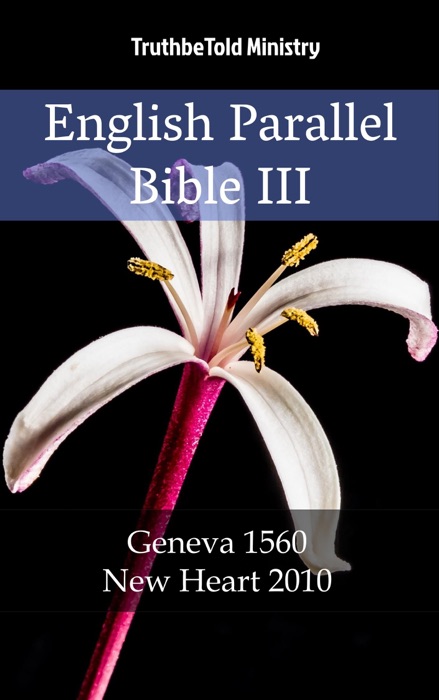 English Parallel Bible III