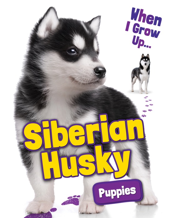 Siberian Husky Puppies