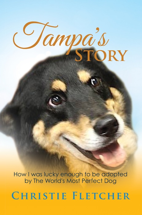 Tampa's Story