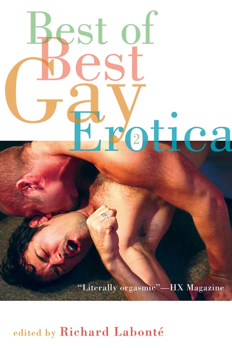 Best of Best Gay Erotica 2