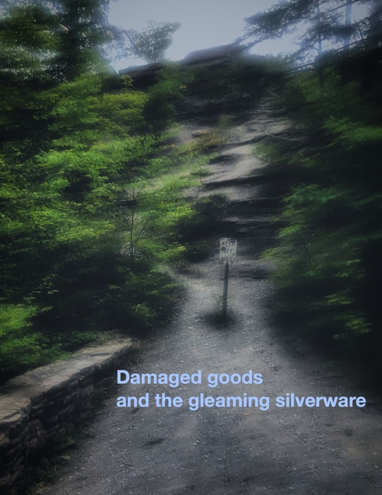 Damaged goods