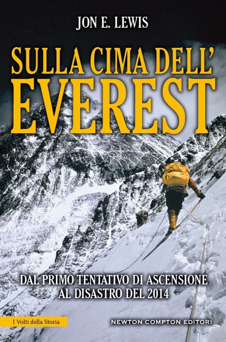 Sulla cima dell'Everest