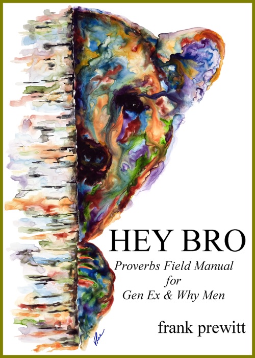 HEY BRO: Proverbs Field Manual For Gen Ex & Why Men