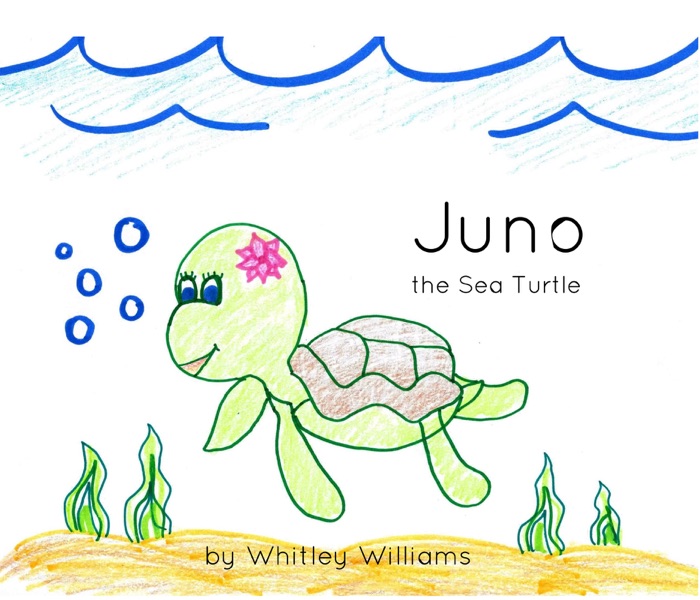 Juno the Sea Turtle