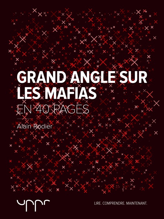 Grand angle sur les mafias