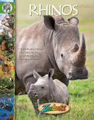 Zoobooks Rhinos - Wildlife Education, Ltd