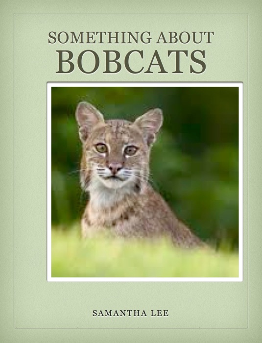 Something About Bobcats