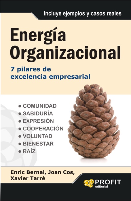 Energía organizacional