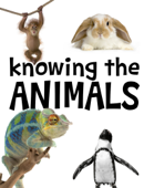 Knowing the Animals - Playlab Studios