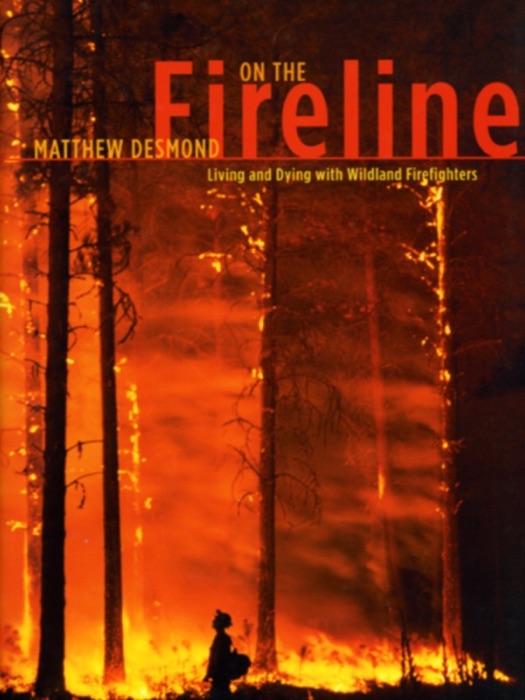 On the Fireline