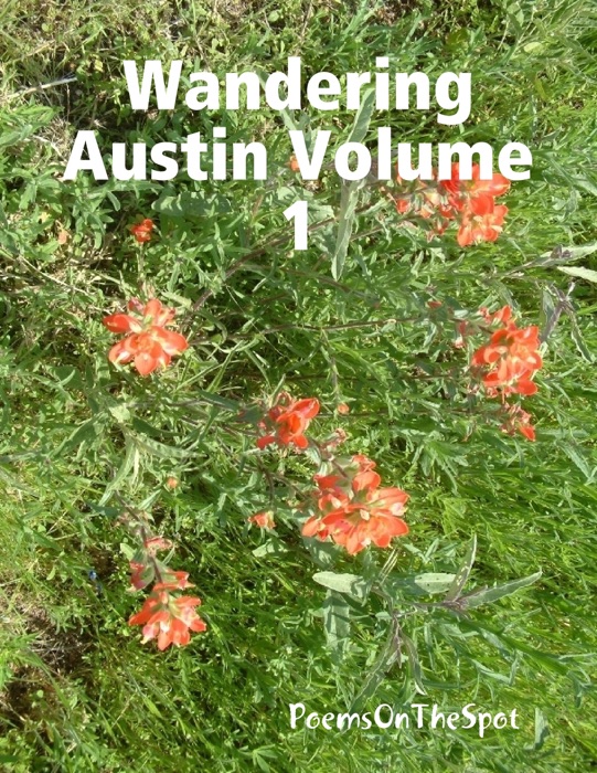 Wandering Austin Volume 1