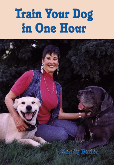 Train Your Dog in One Hour