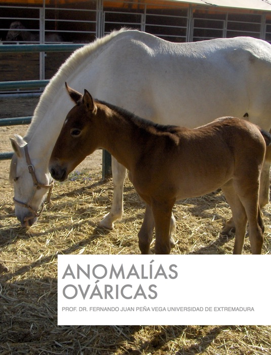 Anomalías Ováricas