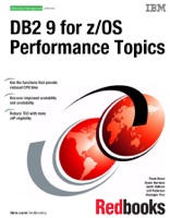 DB2 9 for z/OS Performance Topics