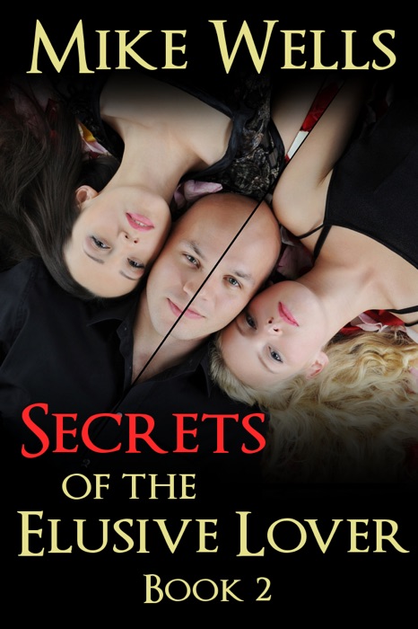 Secrets of the Elusive Lover:  The Private Journal of a Playboy - Book 2