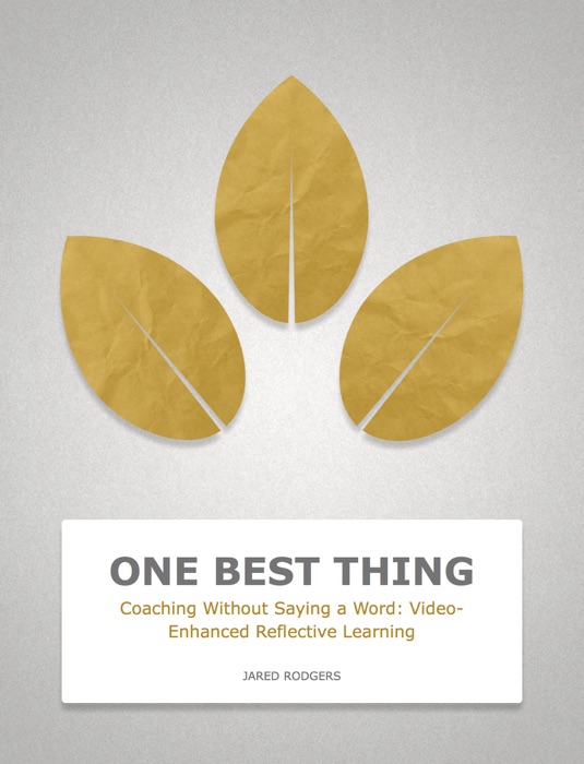 Coaching Without Saying a Word: Video-Enhanced Reflective Learning