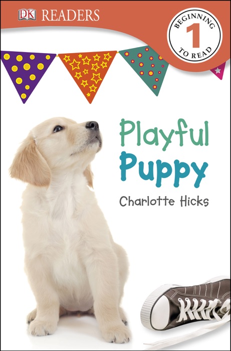 DK Readers L1: Playful Puppy