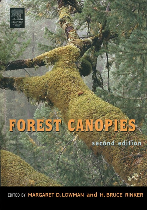 Forest Canopies