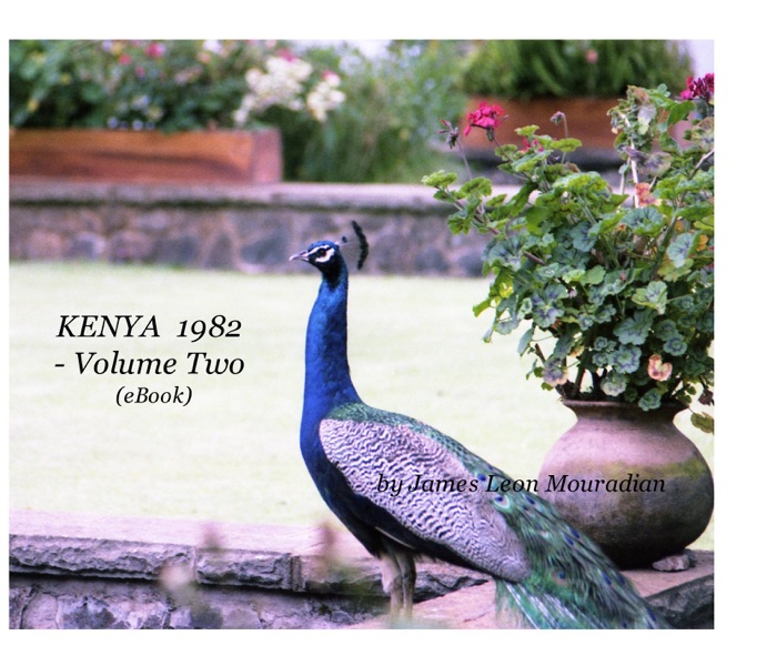 Kenya 1982 - Volume Two (eBook)