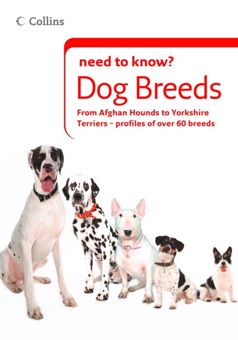 Dog Breeds (Collins Need to Know?)