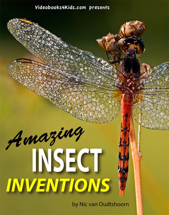 Amazing Insect Inventions