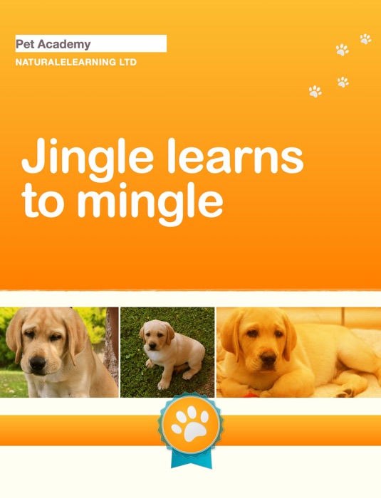 Jingle Learns to Mingle