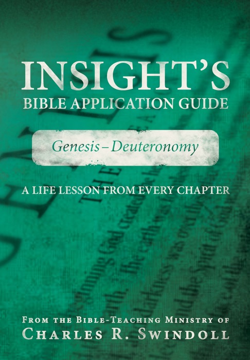 Insight's Bible Application Guide