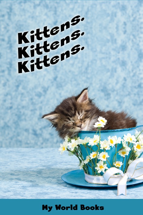 Kittens. A Children's Picture Book!