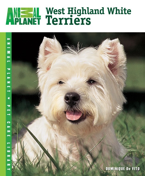 West Highland White Terriers