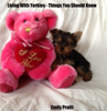 Living With Yorkies: Things You Should Know - Emily Pruitt