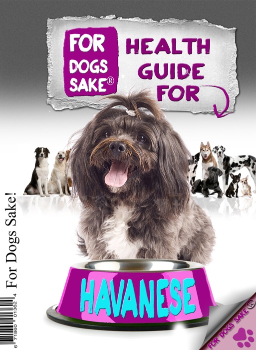 Health Guide for Havanese