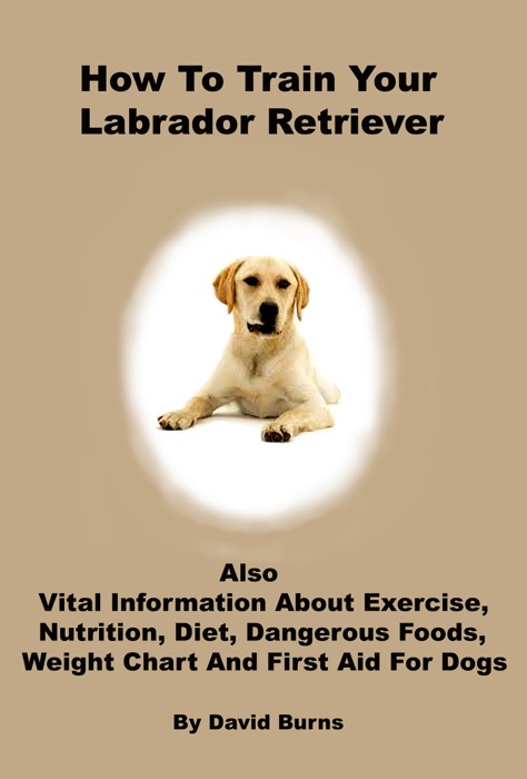 How To Train Your Labrador Retriever