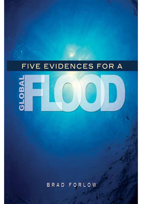 Five Evidences for a Global Flood