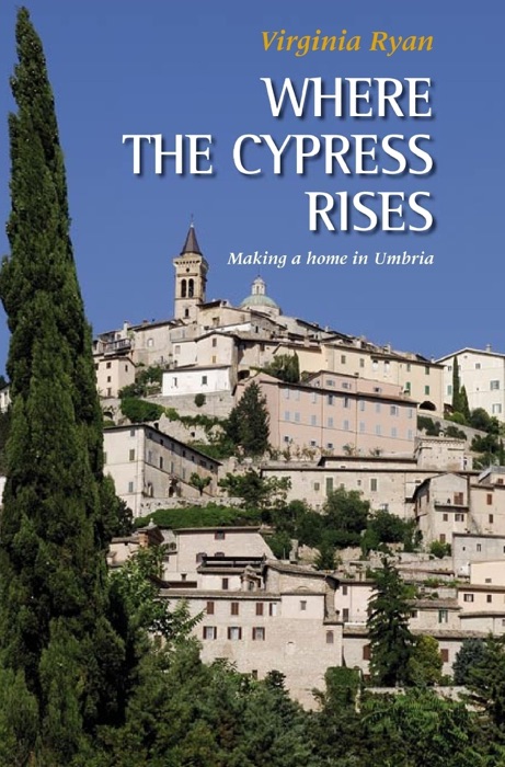 Where the Cypress Rises