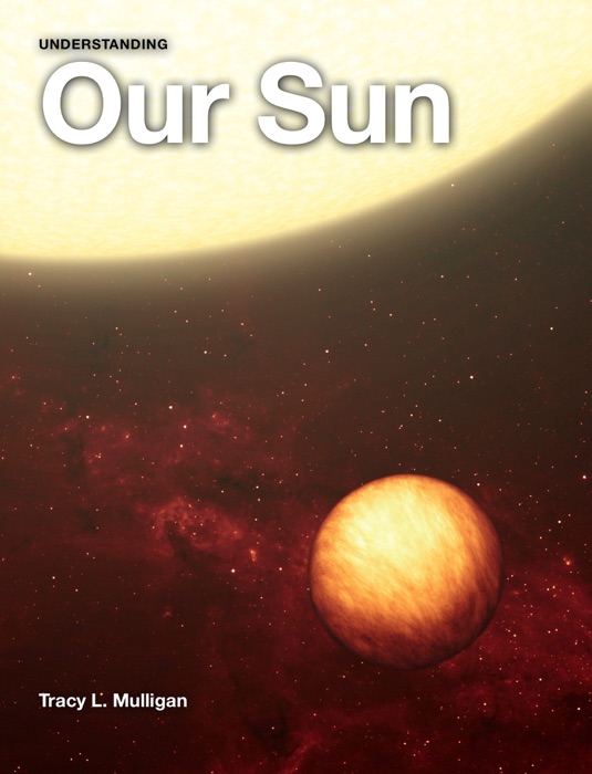 Our Sun