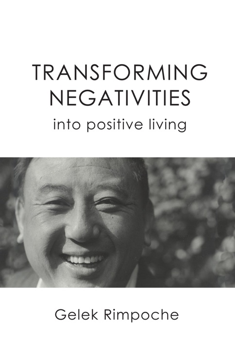 Transforming Negativities