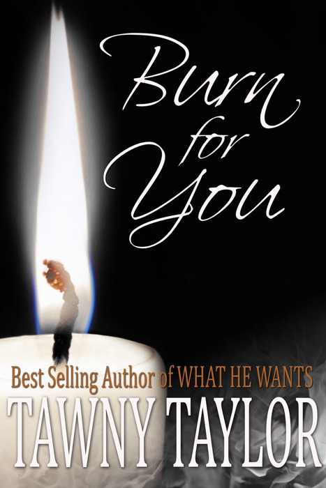 Burn For You (Paranormal Erotic Romance)